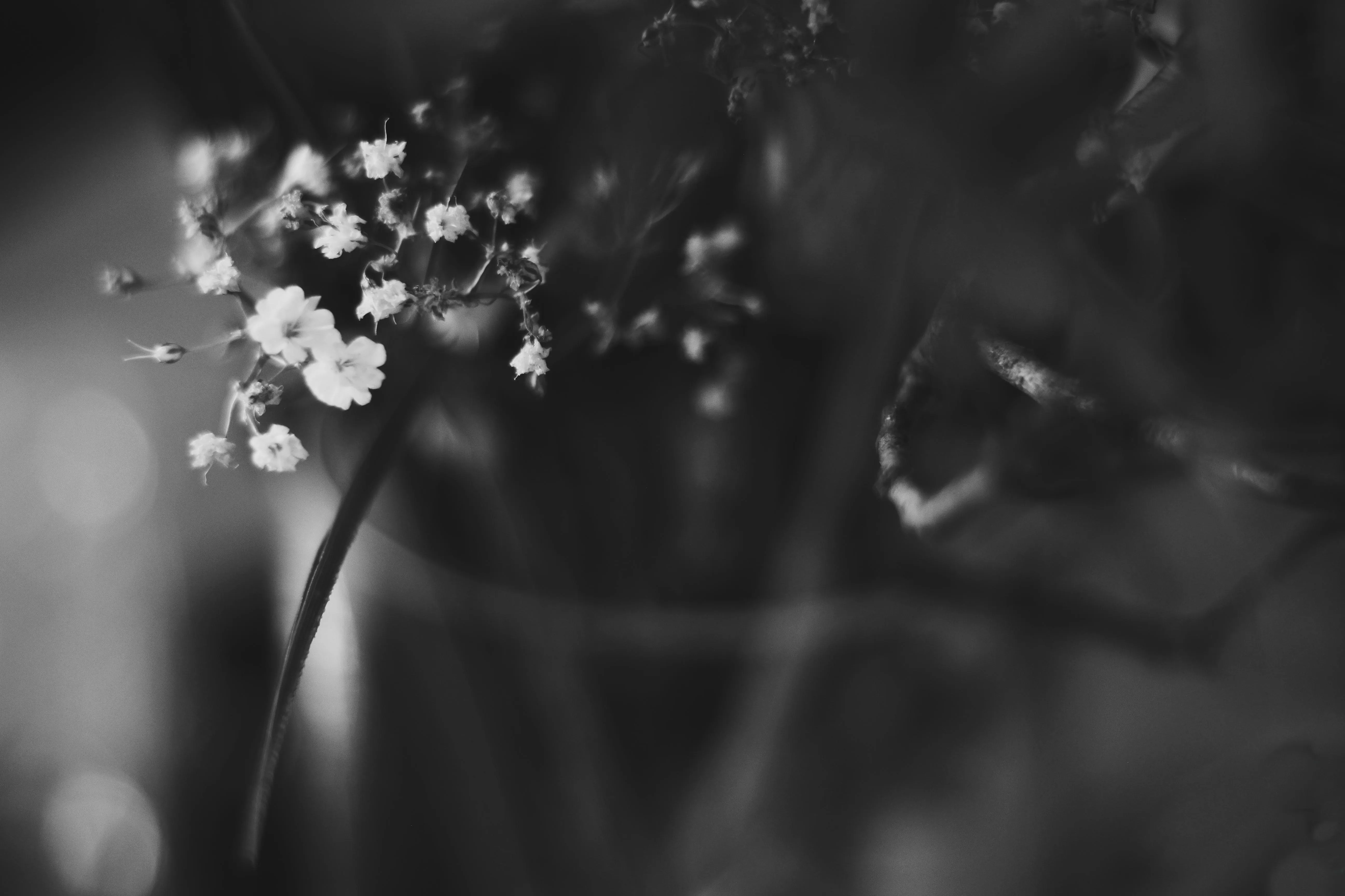 L'Impressionniste